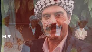 Altın Hızma هاواسى