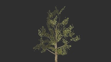 Houdini Tree Generator