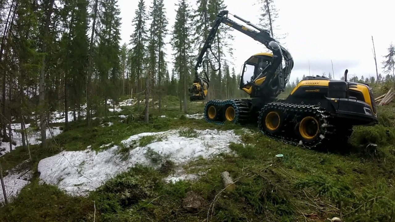 Ponsse scorpion king