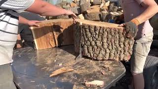 No Room for Mistakes | Monster Stumps and Heavy Machinery