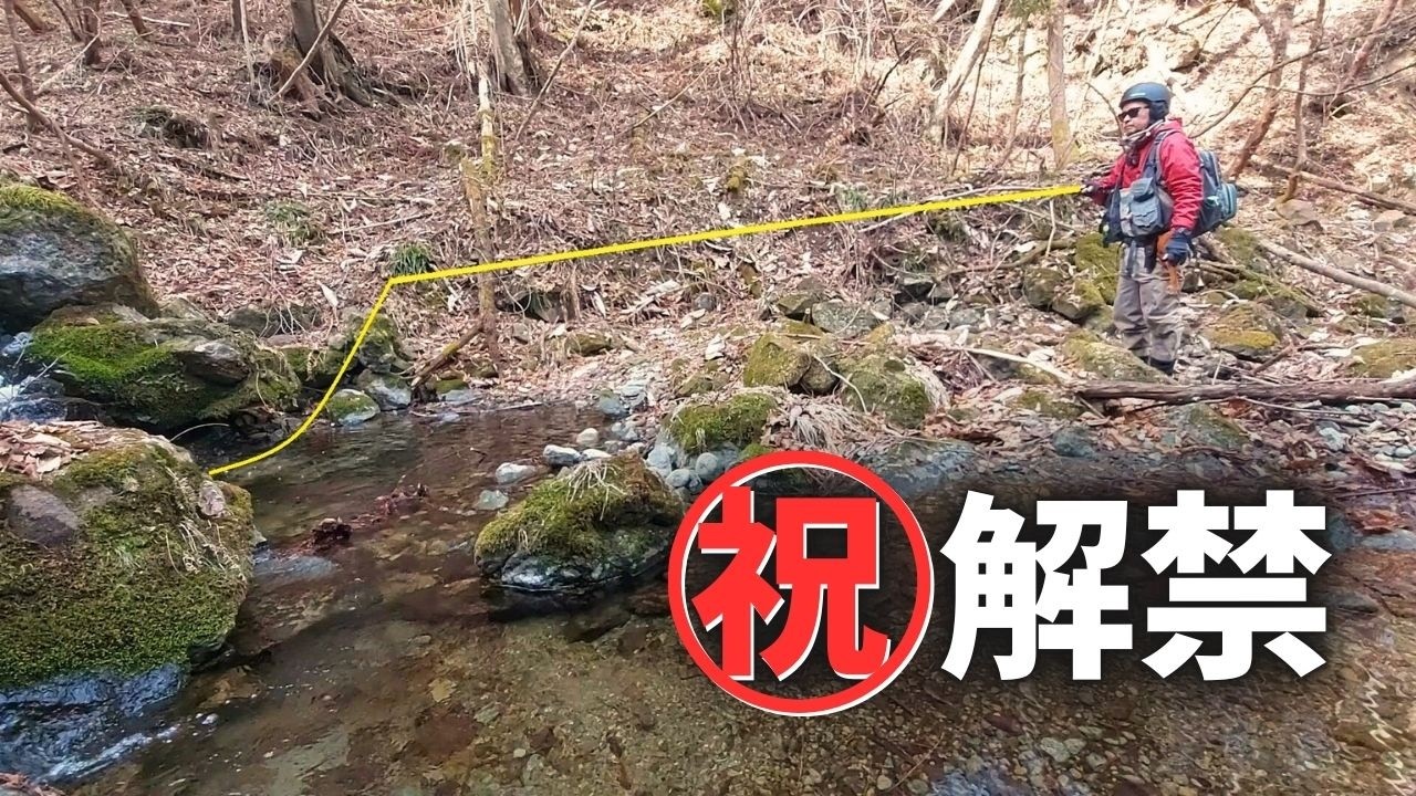 Рыбалка на речных реках с использованием короткой лески по системе TENKARA начнётся в 2026 году!