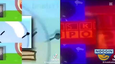 13 Shuric Scans Are With Slides 