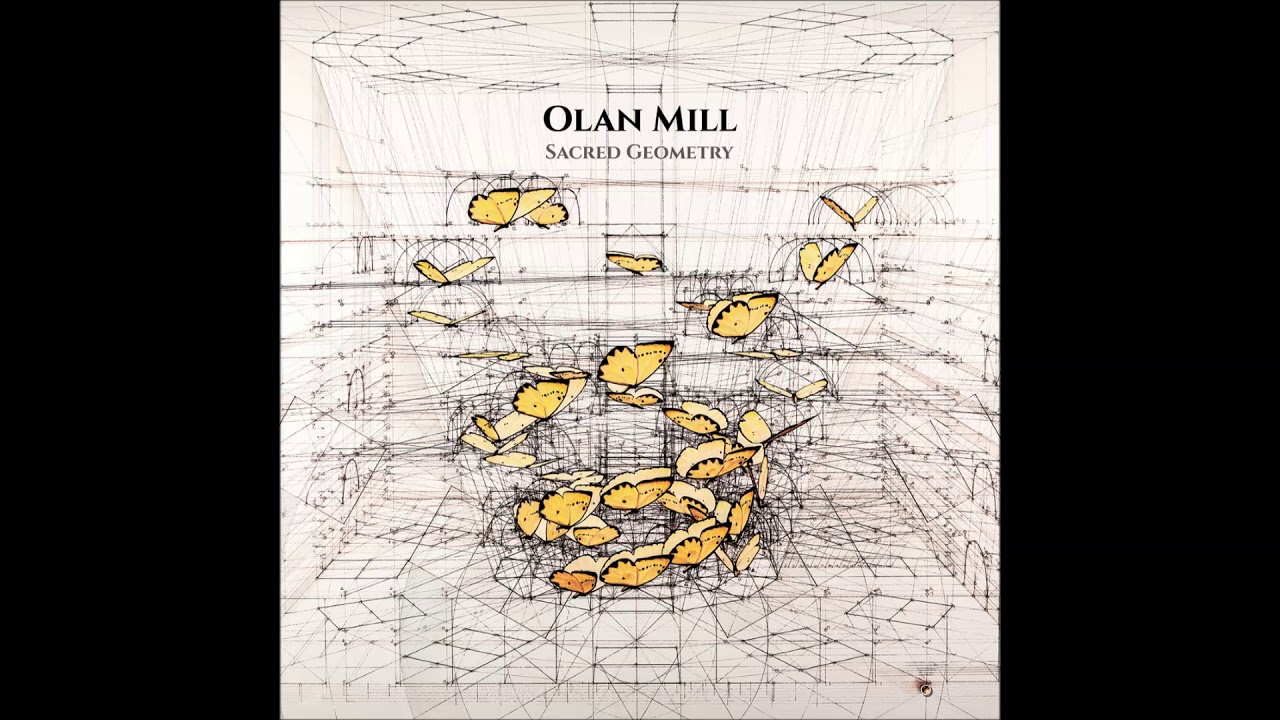 Olan Mill - Toroids [Dronarivm] 