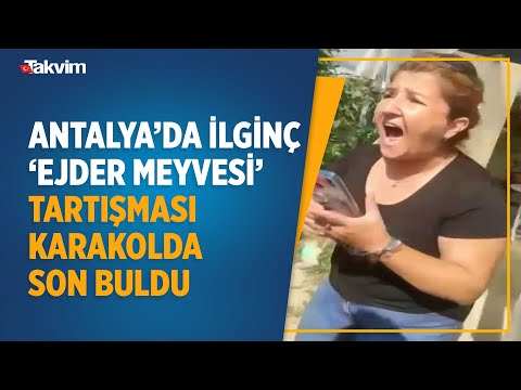 Antalya'da bir kadınla bir gencin karakolda biten 'ejder meyvesi' tartışması kamerada