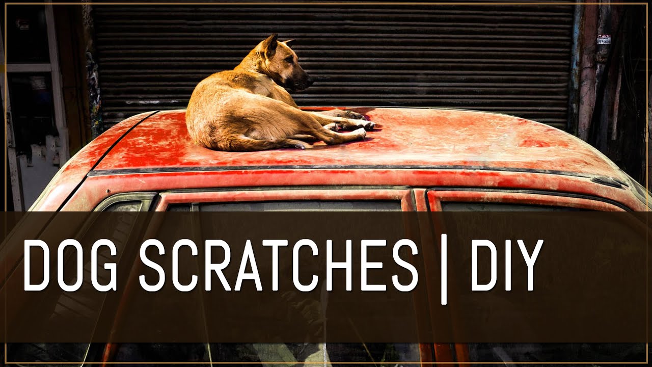 Dog Scratches Removal | Deep Scratches | Alto K10 | Car Detailing | 3M Rubbing Polish | Diy