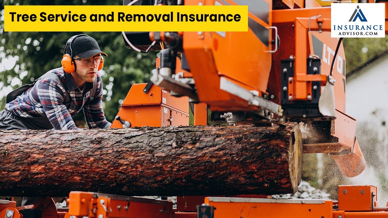 Tree Service and Removal Insurance | InsuranceAdvisor.com