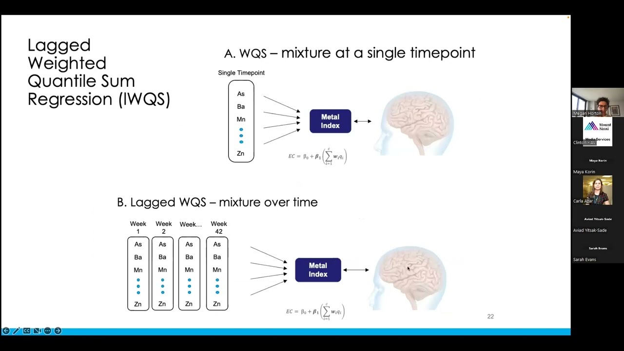 Early Life Metal Exposure and Brain Development with Megan Horton, PhD, MPH