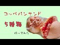 【作ってみた】コッペパンサンド5種類【簡単】