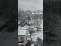 ❄️Первый снег в ноябре❄️