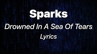 Download Mp3 Sparks - Drowned In A Sea Of Tears (Lyrics) Gudang lagu Download Mp3 Sparks - Drowned In A Sea Of Tears (Lyrics)