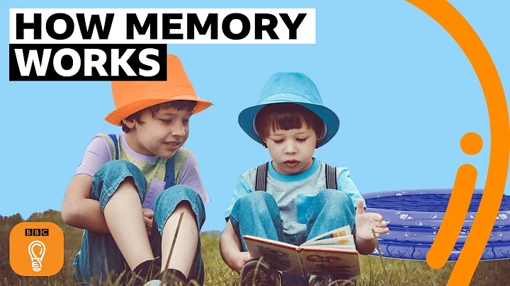 Unraveling the Mysteries of Memory: Can We Trust Our Recollections?