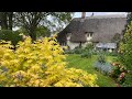 Cottage gardening April tour bluebell woods#english #garden #flowers #garden ing