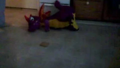 they love to dance