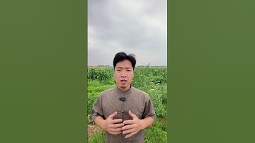 M..ẹo tiện ích gửi tới bà con cô bác#não #xươngkhớp #duocsiquan