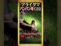 なぜ彼はアライグマを叩くのか！？#雑学 #shorts