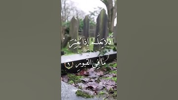 سورة_العاديات🤍اكتب شيء تؤجر عليه ❤