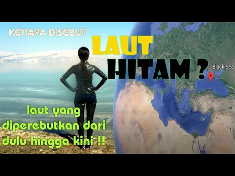 Video: Laut Hitam Dan Penghuninya: Siapa Yang Berbahaya Bagi Manusia?