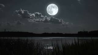 Download Lagu EscuchasDurante 5 Minutos Entrarás En Sueño Profundo Inmediatamente, Música para Dormir MP3