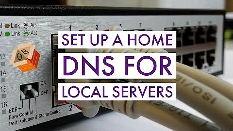 Setup a Home DNS for your Local Servers | linux| ubuntu| dns server| name server | raspberry pi