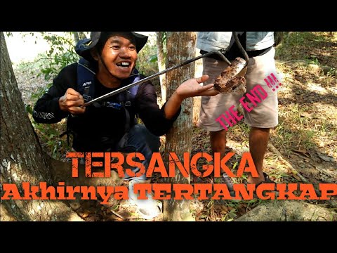 TERSANGKA AKHIRNYA DI TEMUKAN (PENCARIAN RHODOSTOMA YG MENGG1G1T WANTO GOWENG 212 feat MBAH BANDOT)