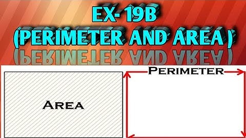 EXERCISE 19B (PERIMETER AND AREA)