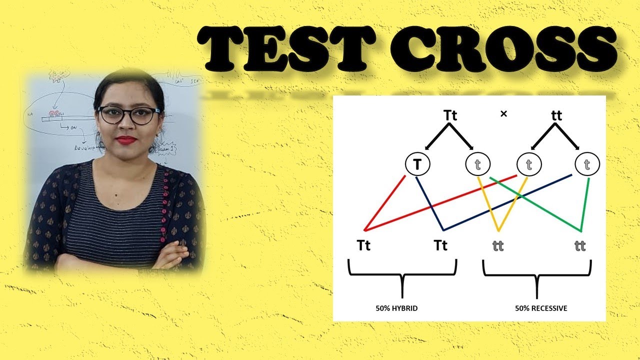 Test Cross || Genetics || Life Sciences || Biology || BioStudy ...