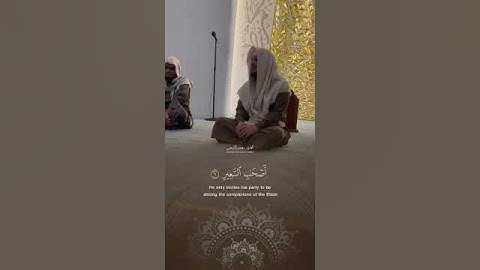 القارئ هيثم الدخين سورة فاطر الأية 3-8 🤍