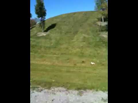 Bryan cutting grass