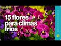 15 Flores para climas frios
