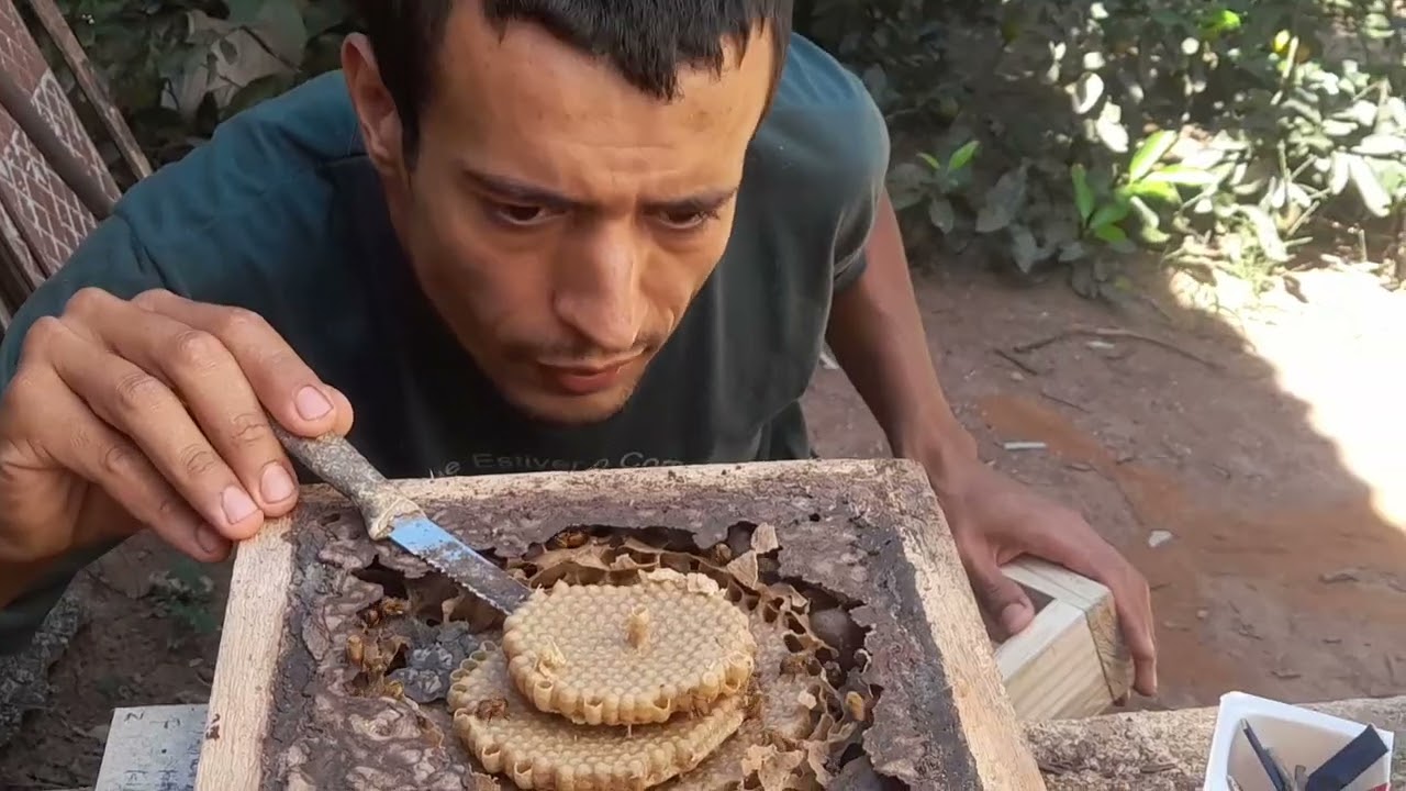 Fiz duas Divisão uma por Disco e uma por módulo,Uruçu Rufiventris.