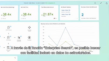 Dashboard analysis with SAP Business One powered by SAP HANA - Spanish