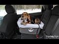 Fido Rido Dog Car Seat Review