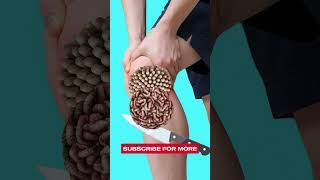 Asmr 2D Relaxing Sounds Asmr Animation