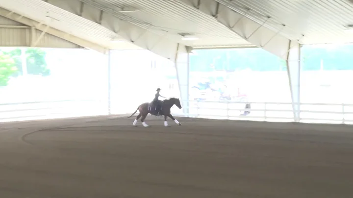180527 Novice Lorri Peterson on Wimpys Stepped Up