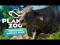 Wild Water Buffalo Swampy Bog Exhibit 🐃 | Planet Zoo Speed Build (Wetlands Pack)