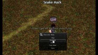 My first Mabinogi Glitch