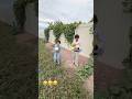 Beauty of nature 🌱 #love #ytshorts #vegetables #fun #lifeisbutadream