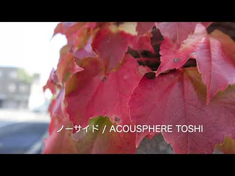 ノーサイド / ウクレレデュオアレンジ