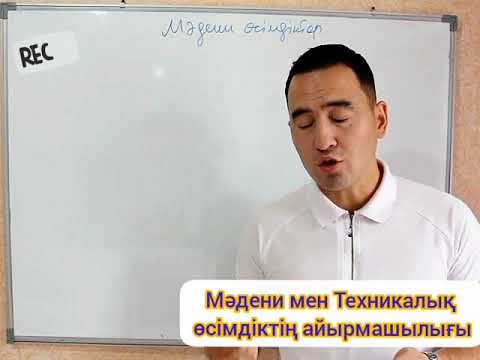 Бейне: Тіндерді өсіру үшін қандай өсімдіктерді қолдануға болады?