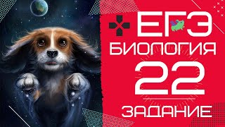 ЕГЭ биология 2020 Задание 22 Рохлов разбор | БиоХак