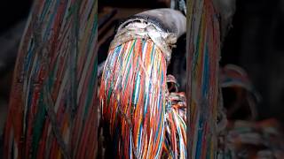What Happens If This Cable Gets Cut? 😳📡