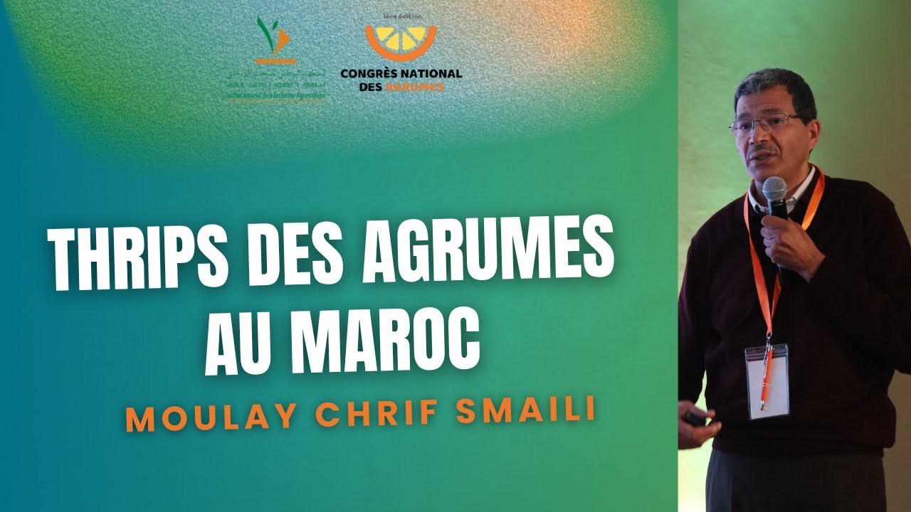 Thrips des Agrumes au Maroc : Evaluation des méthodes de lutte alternatives à la lutte chimique