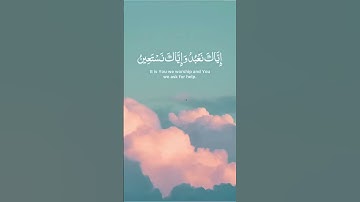 القارئ بشير عبدالله