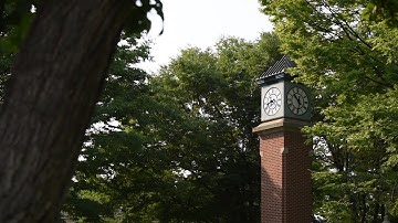 Help us get the clock tower working again