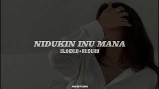 NIDUKIN INU MANA | slowed reverb | MR REVERBS |