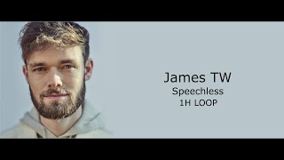 Famous Speechless Lyrics (1H LOOP) - James TW Wealth