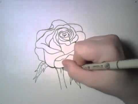 Video: Ինչպես նկարել գեղեցիկ վարդ