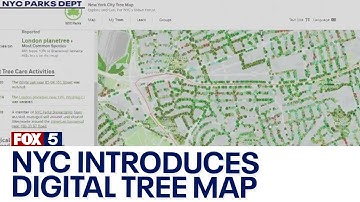 Digital map shows each of NYC