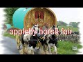 #applebyhorsefair #gypsycobs #horses  on the road to Appleby Horse Fair the biggest in Europe