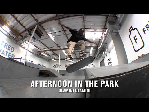 Afternoon in the Park: Dlamini Dlamini | TransWorld SKATEboarding